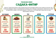 Рамазан 2024. Теперь фитр-садака можно оплачивать через мобильные приложения