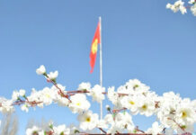 Кыргызстанцев ждет короткая рабочая неделя