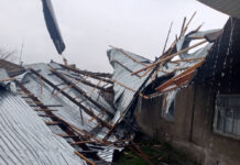 Сильный ветер в Бишкеке повредил 11 школ и 8 детсадов