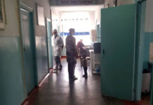 Сузак районунда 12 адам тамакка ууланды