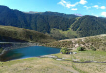 О начале председательства Астаны в Международном Фонде спасения Арала