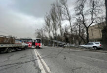 В Бишкеке сильный ветер снес крыши зданий и повалил деревья