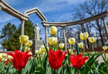 Бул жумада кыргызстандыктар 4 күн катары менен эс алышат