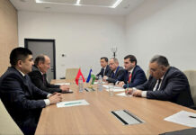 Кыргызстан менен Өзбекстан саламаттык сактоо тармагындагы кызматташтыкты арттырат