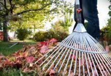 Бишкекчан призывают принять участие в весеннем субботнике