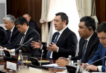 Садыр Жапаров принял исполнительного директора Всемирного банка Доминика Фавра