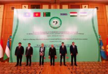 Глава Минприроды КР принял участие во встрече с генсеком ОБСЕ