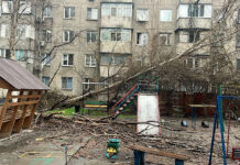 В трех областях Кыргызстана из-за сильного ветра пострадали 154 объекта