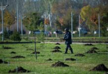 Бишкекчан пригласили принять участие в весенней посадке саженцев