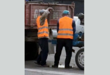 Милиция задержала сотрудников «Бишкекасфальтсервиса». Один из них мочился в яму, а остальные пили спиртное во время ямочного ремонта