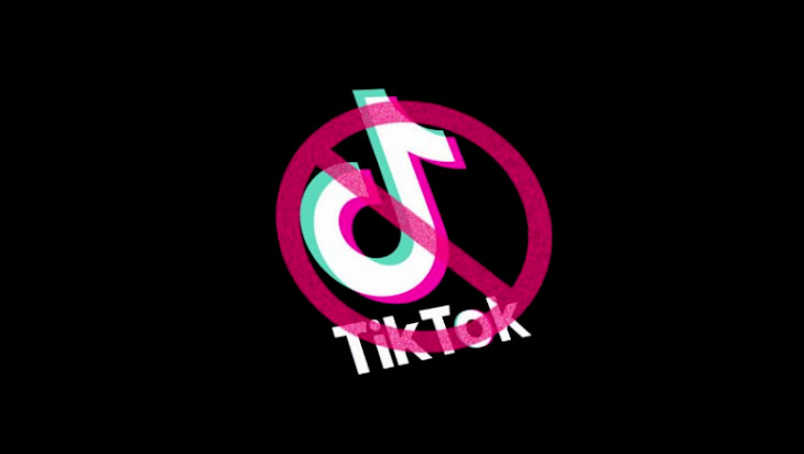 В Казахстане заговорили о блокировке TikTok