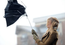 В Бишкеке и Чуйской долине снова ожидается сильный ветер