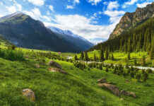 Восстановление ландшафтов. Всемирный банк и КР подписали соглашение на $52,4 млн