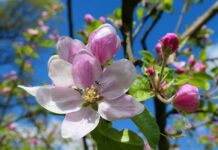 Эта рабочая неделя будет короткой в КР. Впереди пять выходных подряд