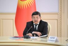 Не испытываем страха перед санкциями — Акылбек Жапаров о приостановлении обслуживания карт «Мир»