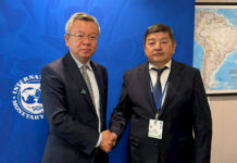 Акылбек Жапаров обсудил с руководством МВФ строительство Камбаратинской ГЭС-1