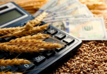 ФСХ-12. Банки выдали фермерам кредиты на 937,2 млн сомов