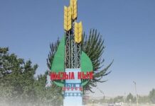 В Кызыл-Кие в собственность города возвращен участок стоимостью 8,5 млн сомов