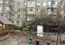 Сильный ветер в Бишкеке. Режим ЧС сняли, ущерб составил 16 млн сомов