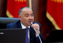 Спикер ЖК призвал запретить мультфильмы не на кыргызском языке и ставить детям арабские имена