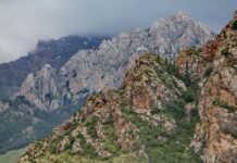 Тройное убийство в Таласе. Подозреваемый ликвидирован при задержании