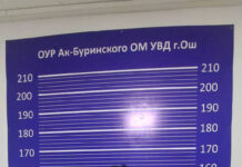 В Оше задержали женщину, рекламировавшую интим-услуги через соцсети