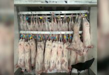 В Иран начали поставлять кыргызскую баранину