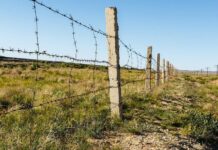 На границе КР и РТ произошел инцидент с применением огнестрельного оружия