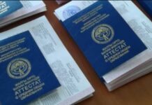Кыргызстанда биринчи жолу бүтүрүүчүлөргө электрондук аттестат берилет