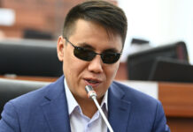 Депутат Жогорку Кенеша предлагает не сносить дома в парке имени Ататюрка