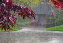 В Кыргызстане ожидают сильные дожди. Возможен сход селей