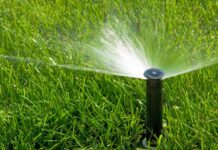 Мэрия сообщила, какие штрафы будут за полив питьевой водой