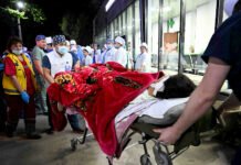 Сузактагы балдар катышкан кырсык. Жабырлануучулардын абалдары жакшырууда