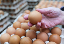 В Кыргызстане хотят запретить импорт куриных яиц