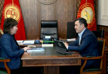 Садыр Жапаров акыйкатчы Жамиля Жаманбаеваны кабыл алды