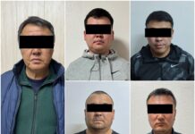 Выявлена схема незаконного ввоза грузовиков из Казахстана в Кыргызстан