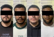 Задержанных после драки возле хостела граждан Египта отпустили под домашний арест