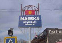 Землю в Маевке стоимостью 51,6 миллиона сомов вернули государству