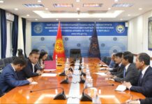 Тышкы иштер министрлигинде Пакистандын ТИМ делегациясы менен жолугушуу өттү