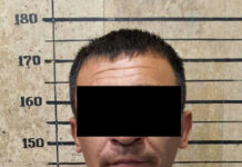 Ош базарынан 93 даана норка тумакты уурдап кеткен жаран кармалды