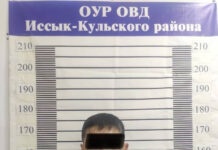 Чолпон-атинский депутат из ОПГ угрожал налоговикам. И угодил в ИВС