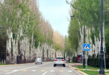 Бишкектин борбордук көчөлөрүнөн маршруткаларды чыгаруу уланууда