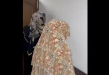 Сузакта Кыргызстандын желегинин өрттөлүшү. УКМК көмүскө диний-экстремисттик түйүндү аныктады