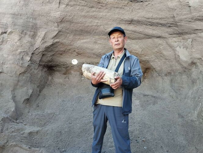333268 w h500 1717485726 r Кости мамонта обнаружили в Иссык-Кульской области