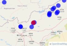 Вблизи кыргызско-китайской границы зафиксировали землетрясение