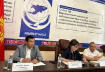 Омбудсмены стран СНГ обсудили вопросы защиты прав мигрантов