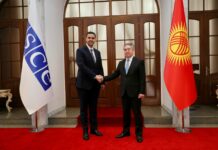 Жээнбек Кулубаев встретился с председателем ОБСЕ Ианом Борча