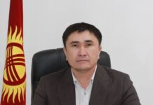 Нурлан Садыков энергетика министринин орун басары болуп дайындалды