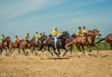 Виды соревнований на ВИК 2024. Бәйге – конные скачки казахского народа