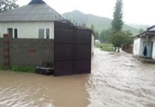 С 20 апреля по 1 июля в результате схода селей погибли 17 человек, 8 из них — дети